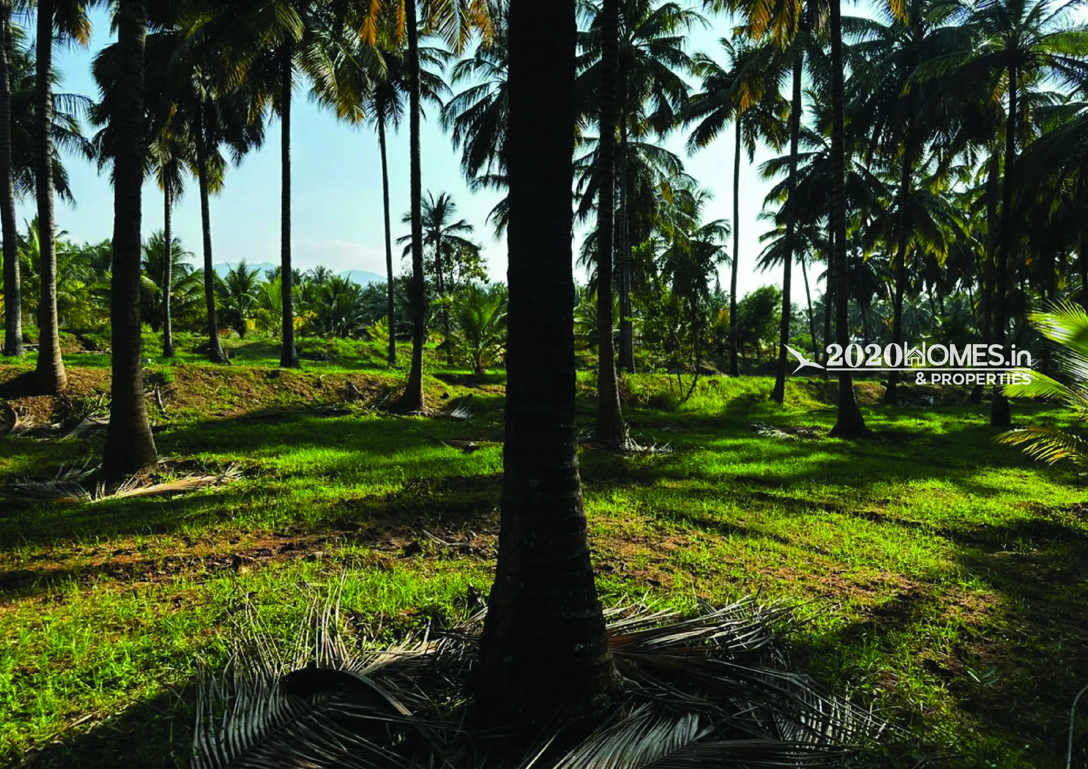Gramam Coconut Farm Anaimalai